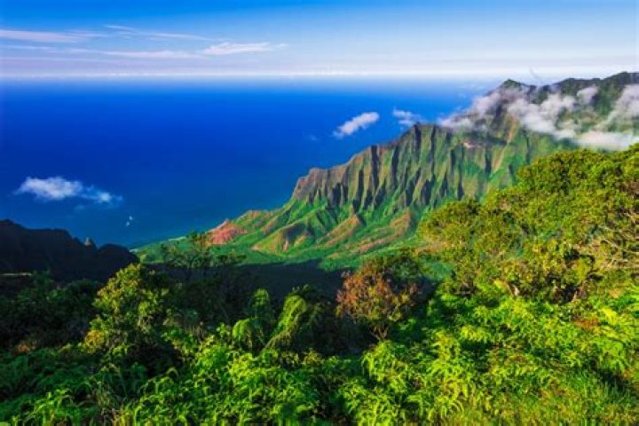 Professional Photography Services In Kauai By Alex Gumm