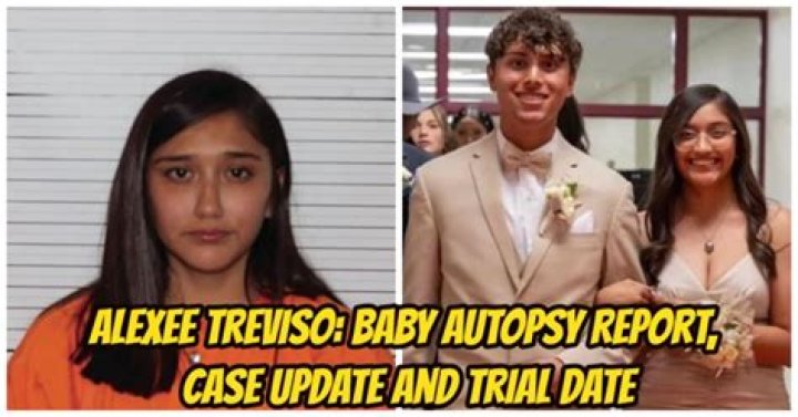 Expert Insights: Alexi Treviso's Tips For Digital Marketing Success