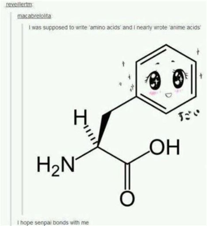 The Ultimate Guide To Anime Acids: Exploring The Building Blocks Of Your Favorite Characters