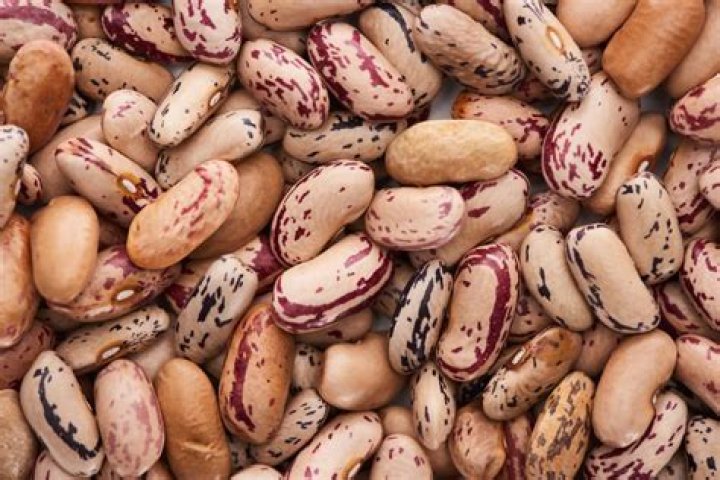 The Comprehensive Guide To Pinto Bean Synonyms And Alternatives
