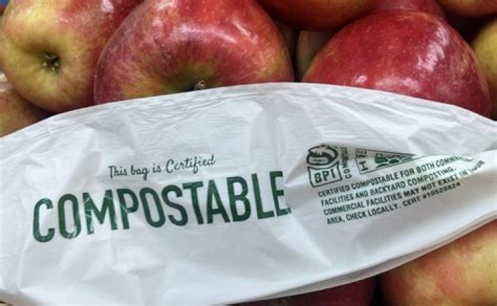 Uncover The Truth: Are Trader Joe's Paper Bags Compostable?