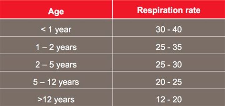 Understanding Babies' Respiratory Rates: A Comprehensive Guide