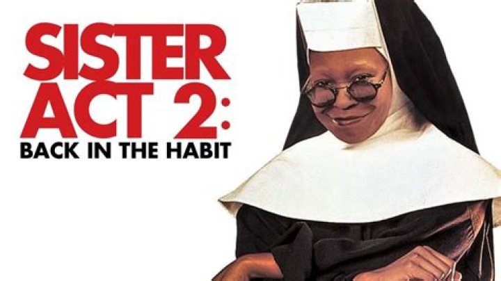 The Appealing Cast Of Back In The Habit 2