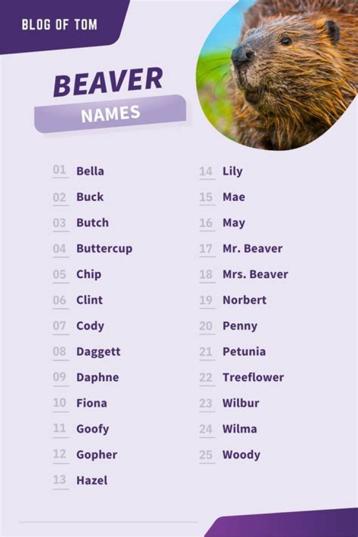 Discover The Unique Moniker: Beaver's Nickname