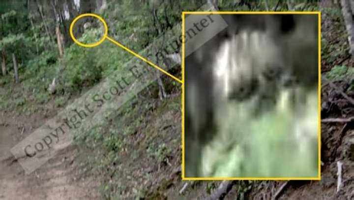 The Mysterious Case Of Bigfoot Researcher Scott Carpenter