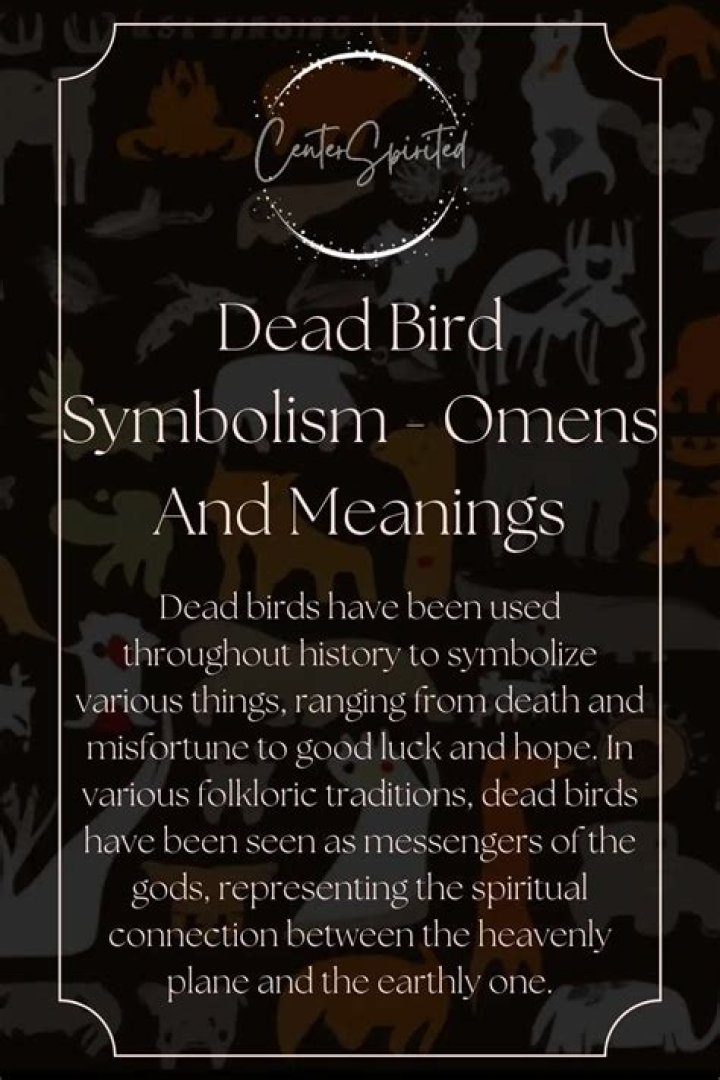 Discover The Eerie Bird: An Omen Of Death