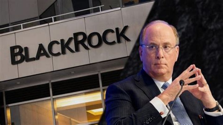 BlackRock CEO's Powerful Son: An Enigma In The World Of Finance