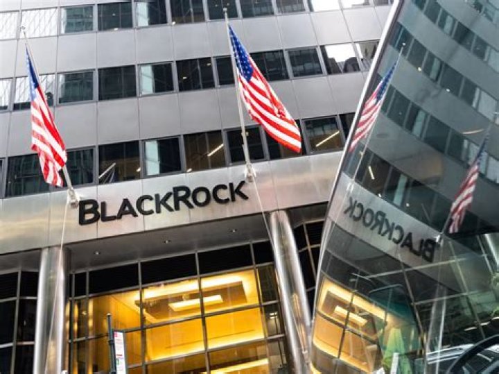 Unveiling Blackrock Owner's Son: The Heir To A Financial Empire
