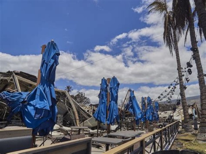 Discover The Allure Of Blue Maui Fires: A Must-See Natural Phenomenon