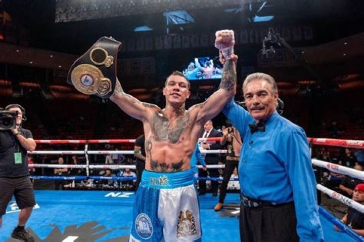 The Ultimate Guide To Boxer Rosado: Everything You Need To Know