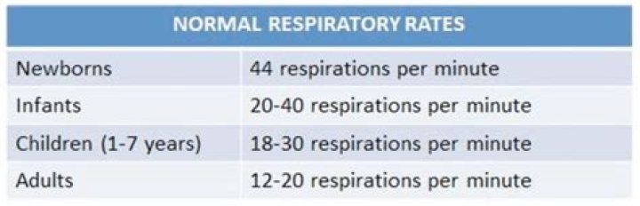 Explore Normal Breathing Rates For Newborns: Essential Guide