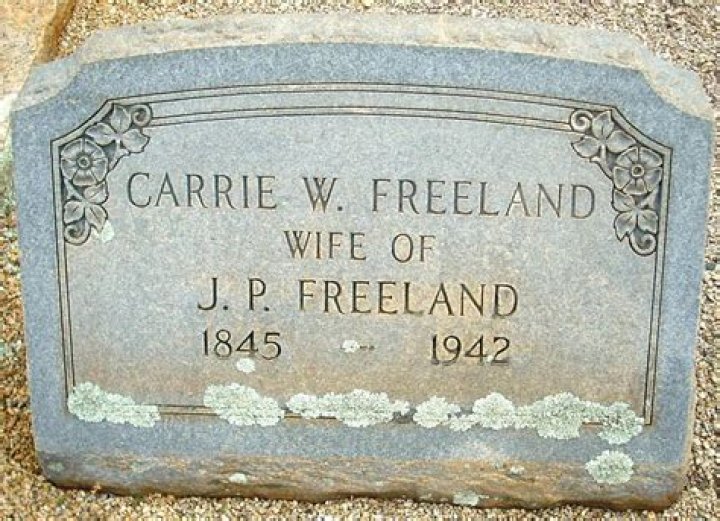 Know About Caroline Cornelia: The Trailblazing Mathematician