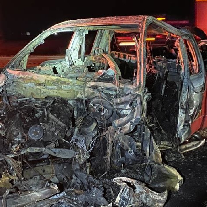 The Ultimate Guide To Catsouras: Comprehensive Information And Tips