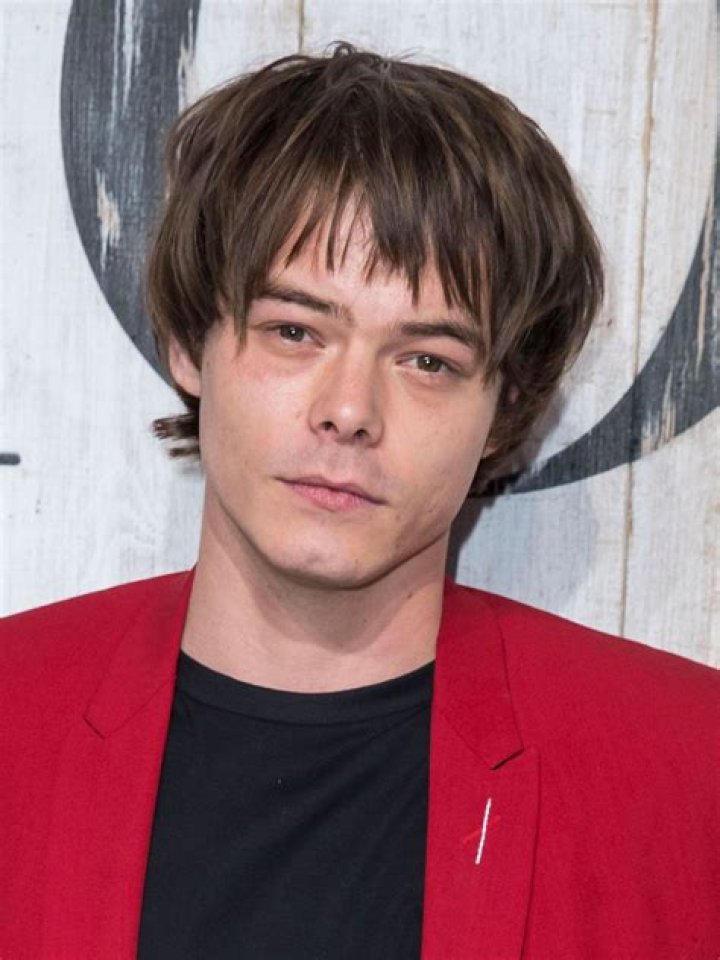 The Ultimate Guide To Charlie Heaton: Biography, Career, And Personal Life