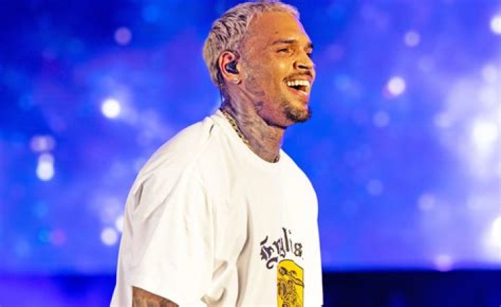 The Comprehensive Guide To Chris Brown's Net Worth