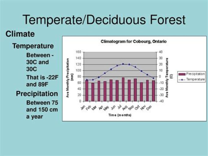The Climate Of Deciduous Forests: Exploring The Temperate Biomes