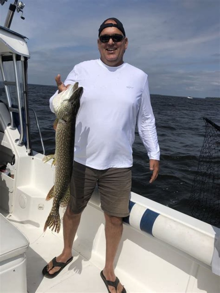 Cory Patrick: An SEO Expert Shaping The Digital Landscape