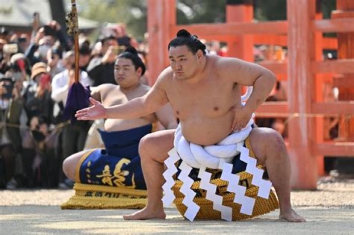 Discover The Reigning Yokozuna: Meet Sumo's Current Grand Champion