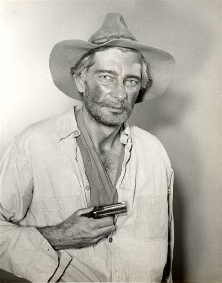 The Ultimate Guide To Dano Royal: Everything You Need To Know