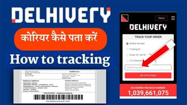 Track Your Delhivery Orders Effortlessly: The Ultimate Guide
