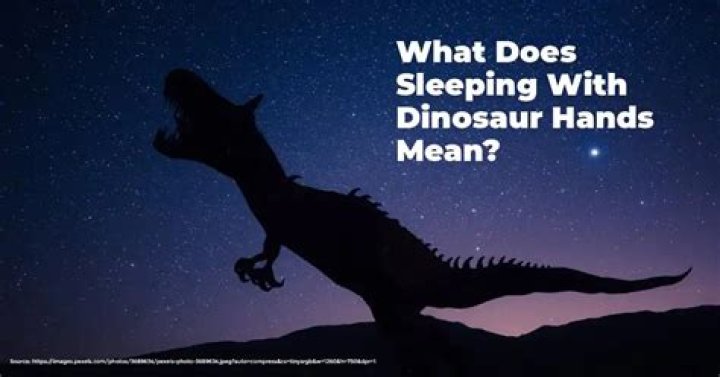 The Curious Case Of Dino Hands: Unraveling The Mystery Of Sleep Patterns