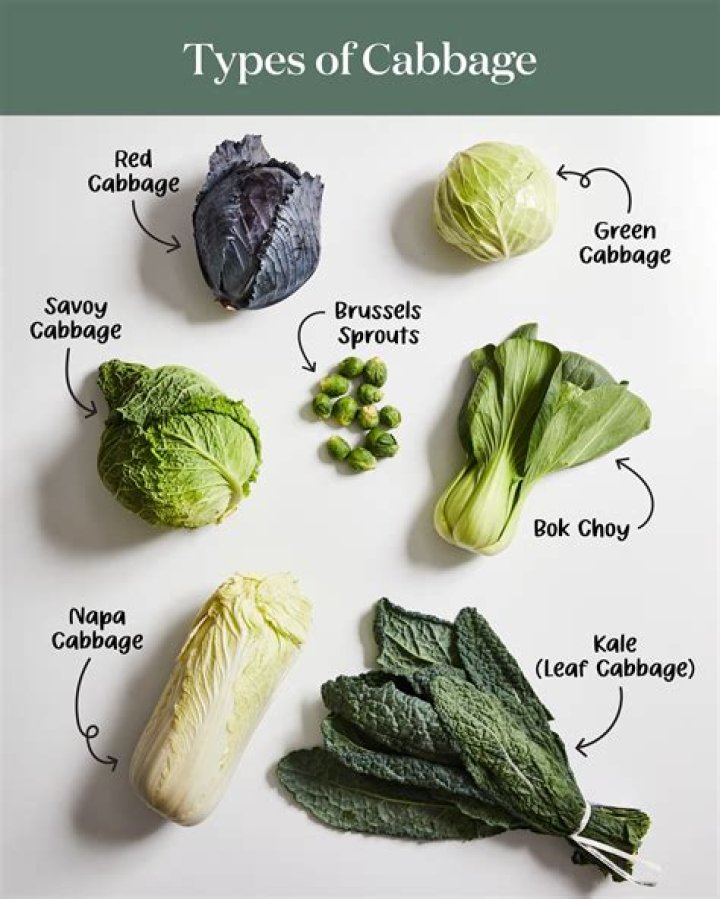 Discover The Taste Distinction: Purple Cabbage Vs Green Cabbage