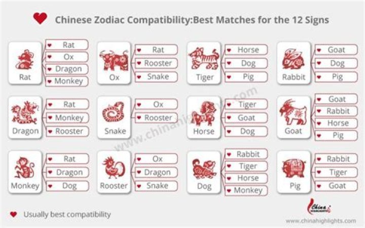 Compatibility Secrets Of The Dragon And Monkey: A Zodiac Guide