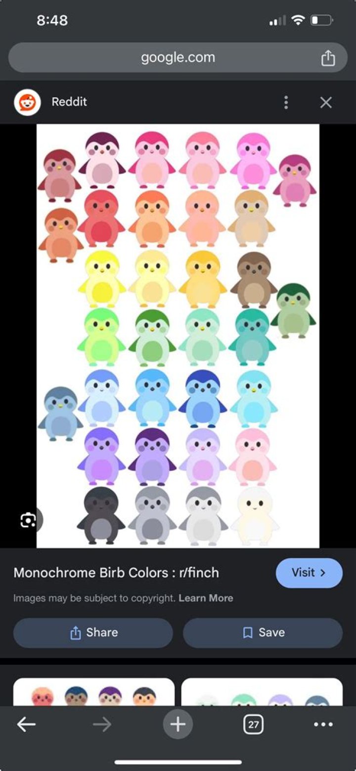 Ultimate Guide To Elis Finch: In-Depth Insights And Latest Updates