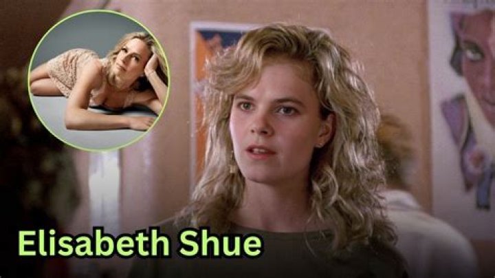 The Quintessential Guide To Elizabeth Shue's Captivating Career