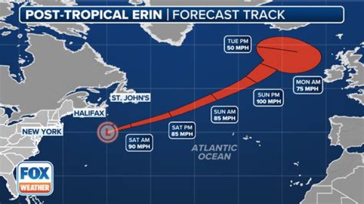 The Ultimate Guide To Erin Shodahl: Essential Tips And Strategies