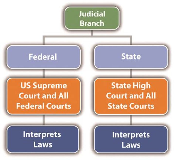 The Essential Guide To Judicial Branch Examples