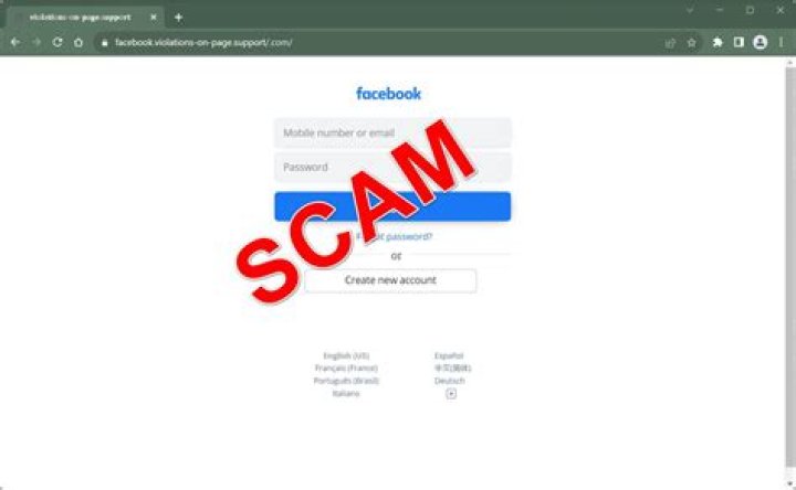 Brace Yourself: Facebook Email Scams Lurking In Your Inbox