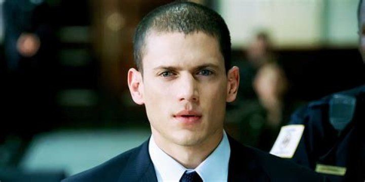Uncover Films And TV Shows Featuring Wentworth Miller