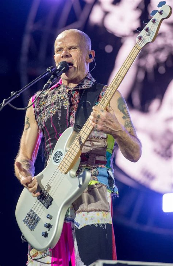 Find Your Groove: Flea Musician Music Groups To Elevate Your Playlist