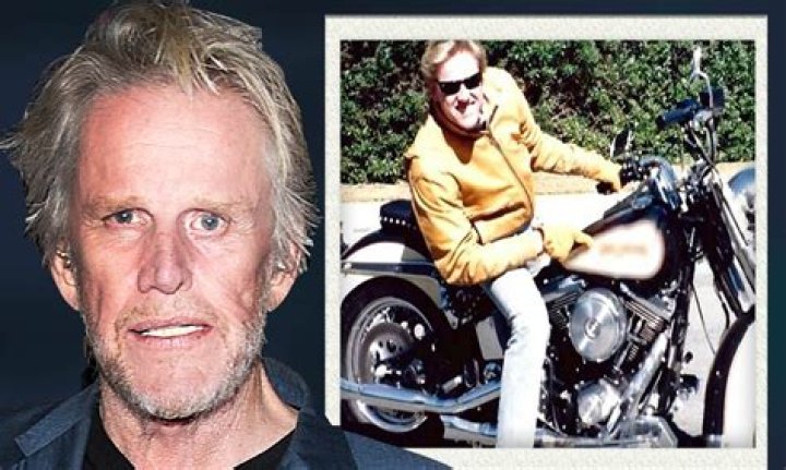 Tragic Accident: Gary Busey Seriously Injured