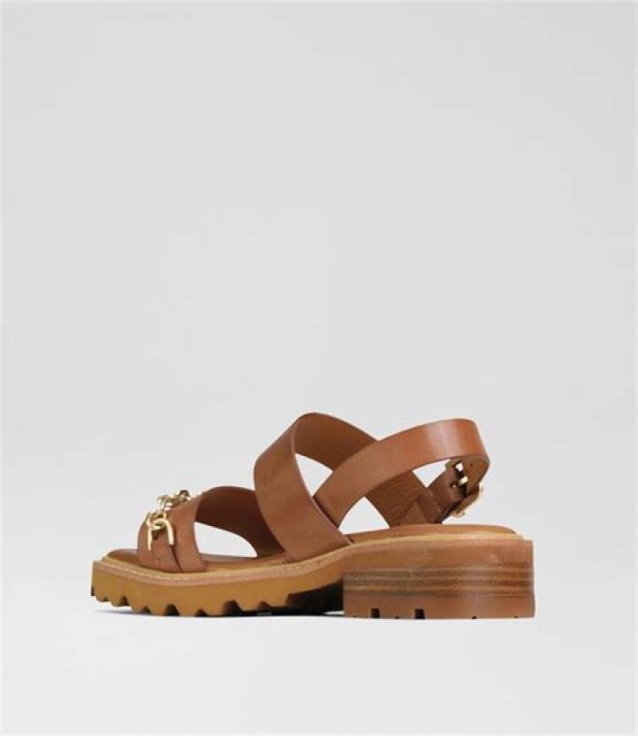 The Ultimate Guide To Gil Brandy: A Comprehensive Overview