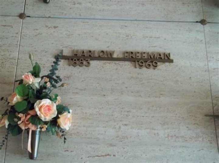 Captivating Biography Of Harlow Freeman: An Inspirational Trailblazer