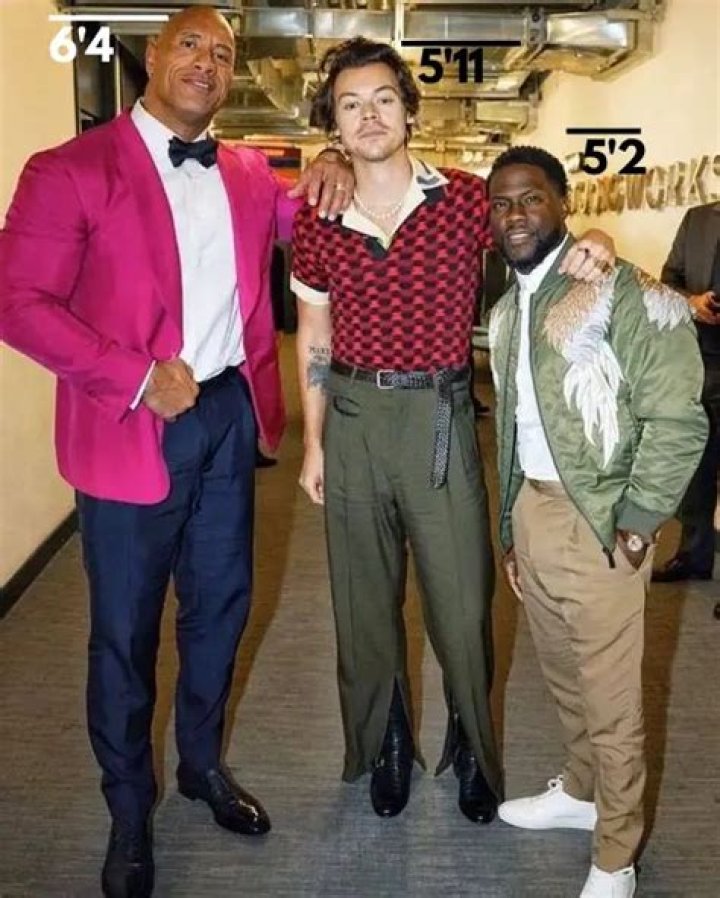 Harry Styles: Uncovering The Truth About His Enviable Height