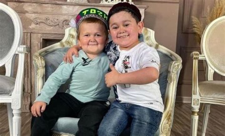 The Ultimate Guide To The Hasbulla Family: A Deep Dive Into Their Lives