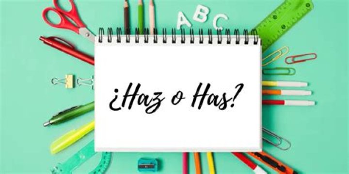 The Ultimate Guide To Using 