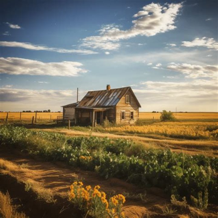 Protect Your Home With The Oklahoma Homestead Exemption: A Guide