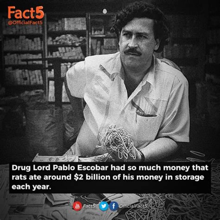 Pablo Escobar's Staggering Weekly Income: The Truth Revealed