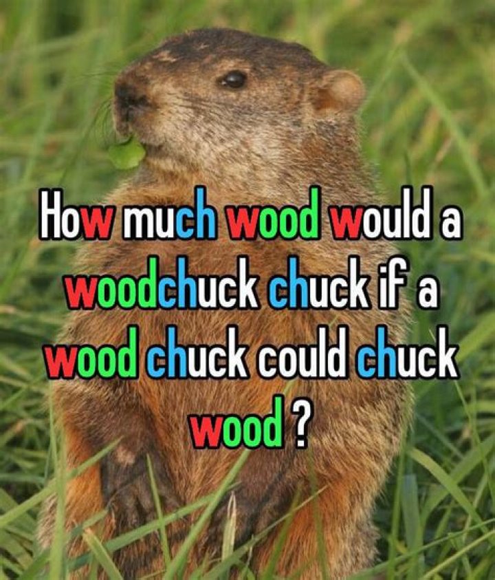 The Ultimate Guide To The Woodchuck's Wood-Chucking Potential