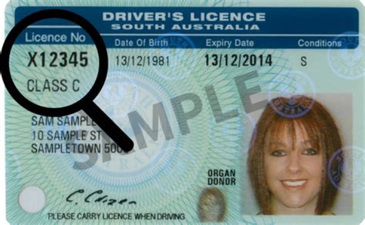 Ultimate Guide To Uncovering Your Driver's License Number