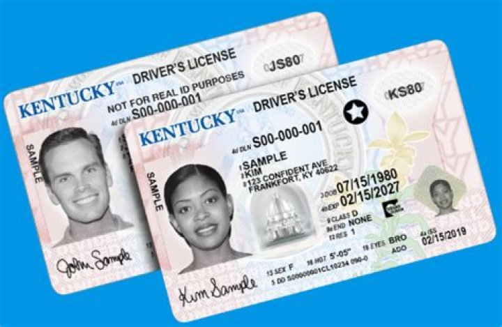 How To Easily Find Your Driver's License Number Today