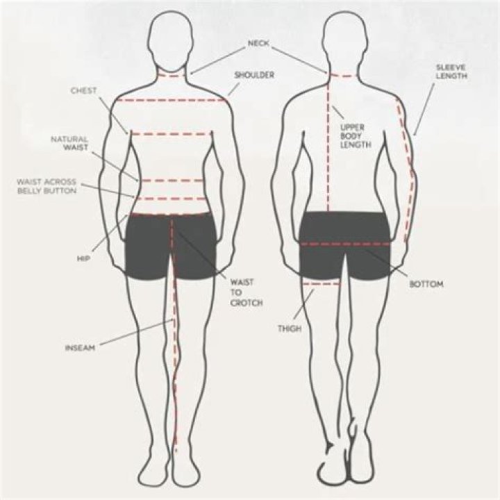 Perfect Leg To Body Ratio: The Ultimate Guide To Measuring And Improving Yours