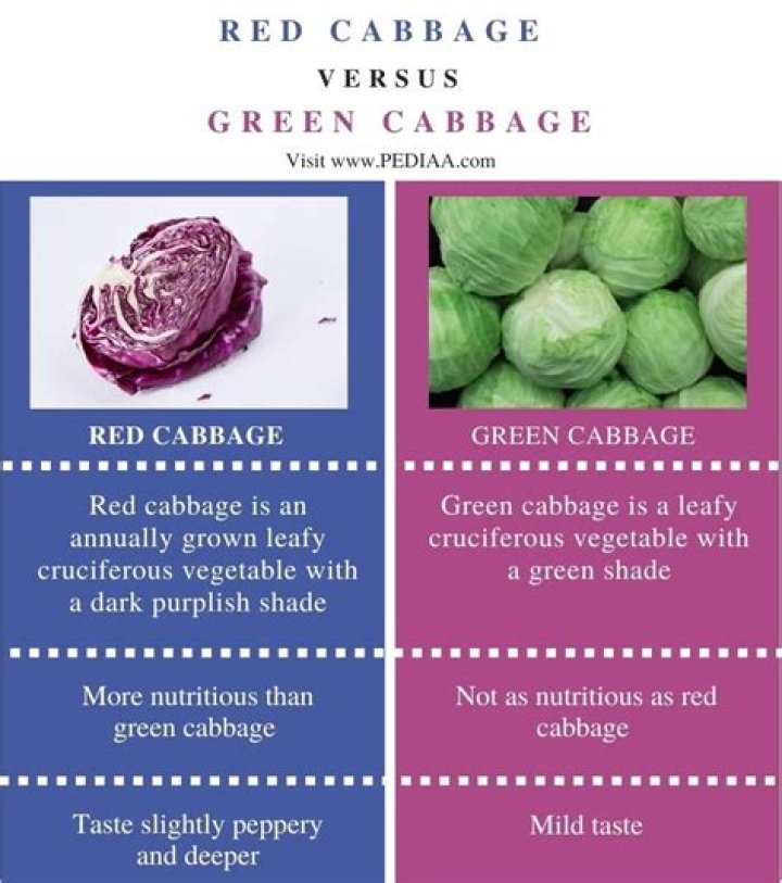 Ultimate Showdown: Which Cabbage Reigns Supreme - Red Or Green?