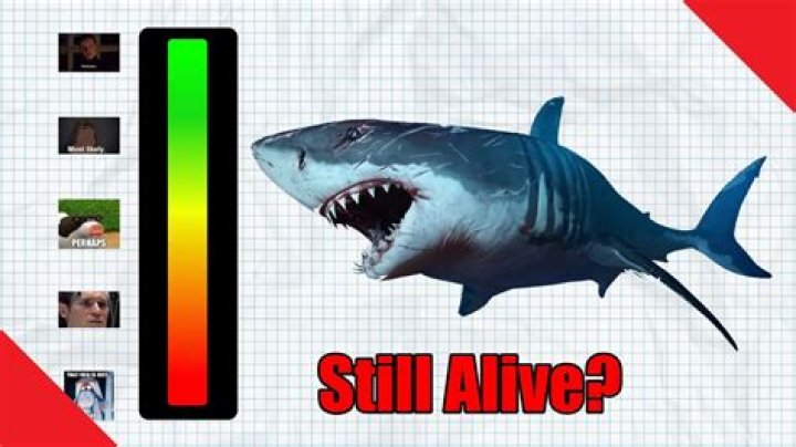 Is The Megalodon Still Alive Today? The Ultimate Truth Revealed