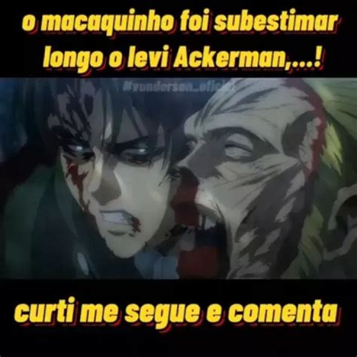 The Jackerman Dog: A Comprehensive Guide To This Unique Breed