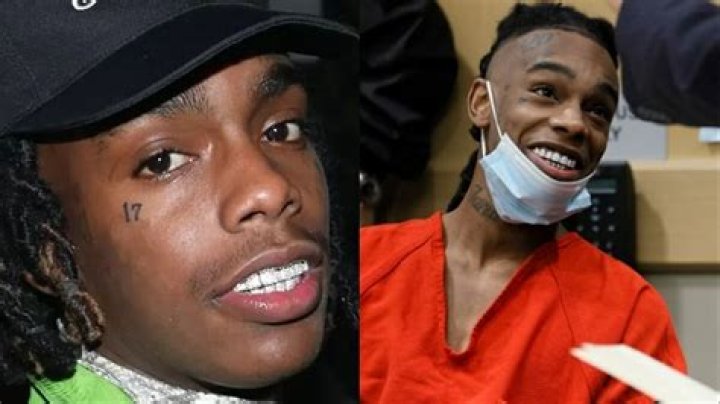 Jason Roger Williams: An SEO Master's Expertise